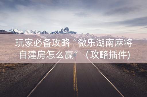 玩家必备攻略“微乐湖南麻将自建房怎么赢”（攻略插件)