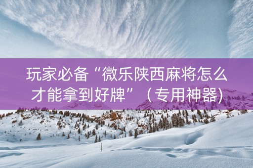 玩家必备“微乐陕西麻将怎么才能拿到好牌”（专用神器)