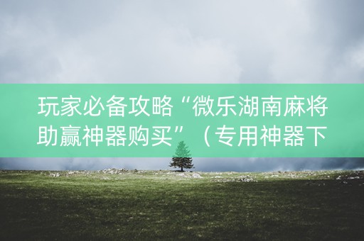 玩家必备攻略“微乐湖南麻将助赢神器购买”（专用神器下载)