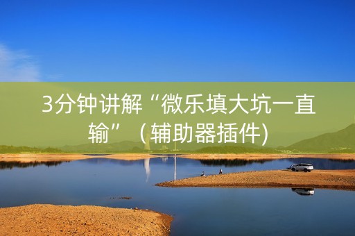 3分钟讲解“微乐填大坑一直输”（辅助器插件)