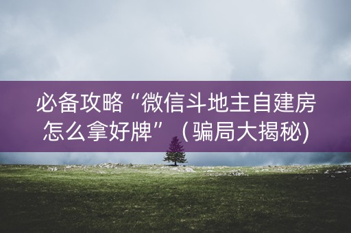 必备攻略“微信斗地主自建房怎么拿好牌”（骗局大揭秘)