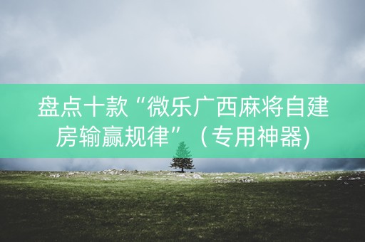 盘点十款“微乐广西麻将自建房输赢规律”（专用神器)