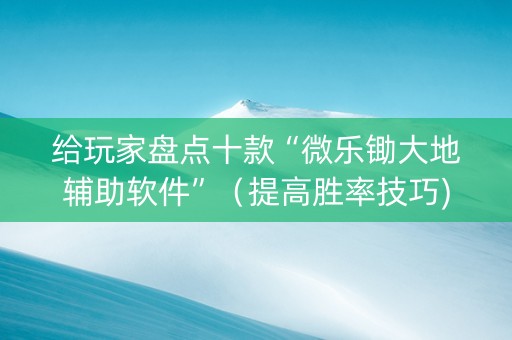 给玩家盘点十款“微乐锄大地辅助软件”（提高胜率技巧)