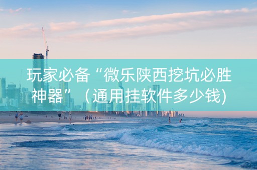 玩家必备“微乐陕西挖坑必胜神器”（通用挂软件多少钱)