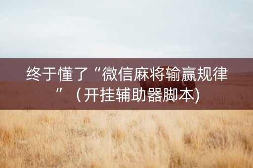 终于懂了“微信麻将输赢规律”（开挂辅助器脚本)