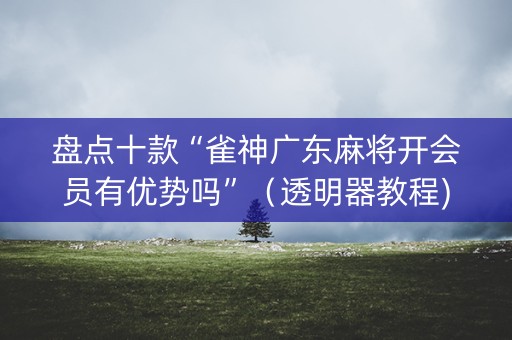 盘点十款“雀神广东麻将开会员有优势吗”（透明器教程)