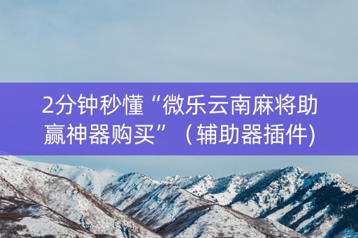 2分钟秒懂“微乐云南麻将助赢神器购买”（辅助器插件)