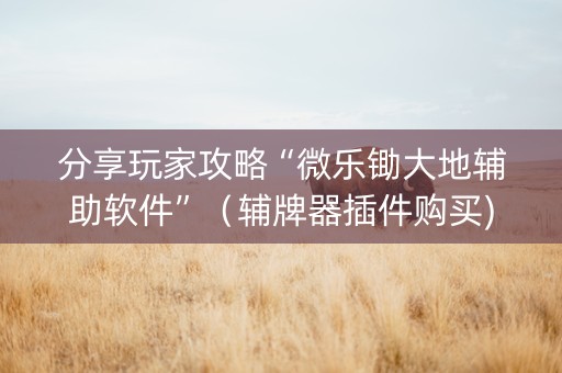 分享玩家攻略“微乐锄大地辅助软件”（辅牌器插件购买)