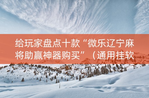 给玩家盘点十款“微乐辽宁麻将助赢神器购买”（通用挂软件多少钱)