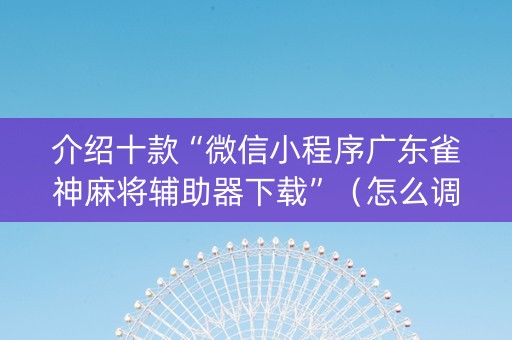 介绍十款“微信小程序广东雀神麻将辅助器下载”（怎么调胜率)