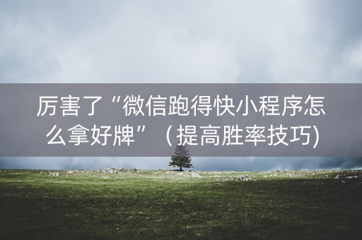 厉害了“微信跑得快小程序怎么拿好牌”（提高胜率技巧)