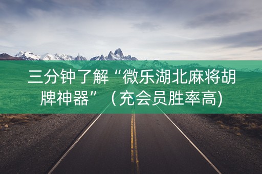 三分钟了解“微乐湖北麻将胡牌神器”（充会员胜率高)