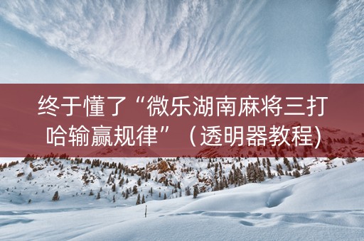 终于懂了“微乐湖南麻将三打哈输赢规律”（透明器教程)