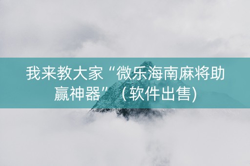 我来教大家“微乐海南麻将助赢神器”（软件出售)