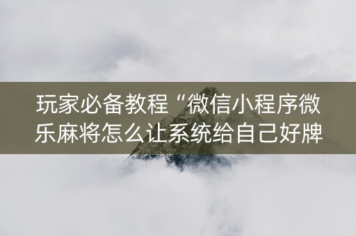 玩家必备教程“微信小程序微乐麻将怎么让系统给自己好牌”（专用神器下载)