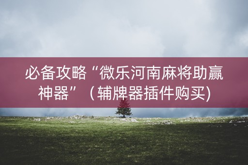 必备攻略“微乐河南麻将助赢神器”（辅牌器插件购买)