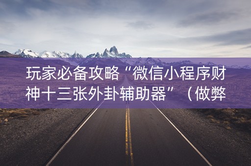 玩家必备攻略“微信小程序财神十三张外卦辅助器”（做弊器软件下载)