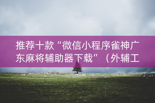 推荐十款“微信小程序雀神广东麻将辅助器下载”（外辅工具)