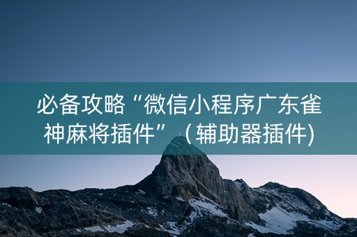 必备攻略“微信小程序广东雀神麻将插件”（辅助器插件)