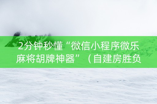 2分钟秒懂“微信小程序微乐麻将胡牌神器”（自建房胜负规律)
