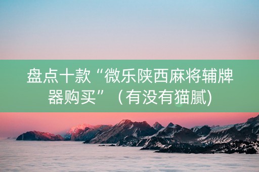 盘点十款“微乐陕西麻将辅牌器购买”（有没有猫腻)