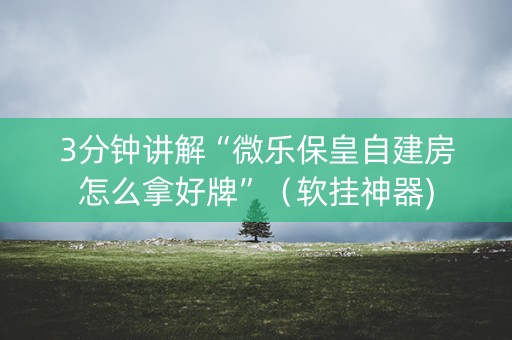 3分钟讲解“微乐保皇自建房怎么拿好牌”（软挂神器)
