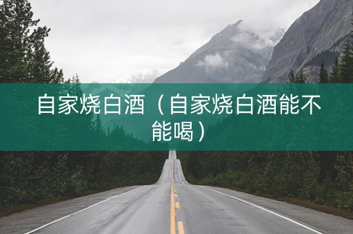 自家烧白酒（自家烧白酒能不能喝）