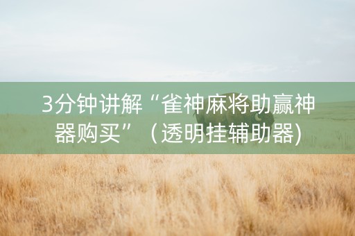 3分钟讲解“雀神麻将助赢神器购买”（透明挂辅助器)