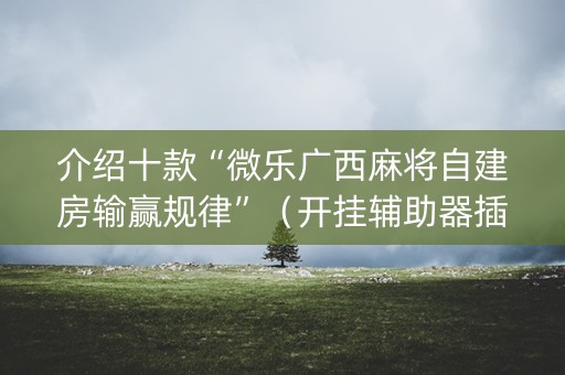 介绍十款“微乐广西麻将自建房输赢规律”（开挂辅助器插件)