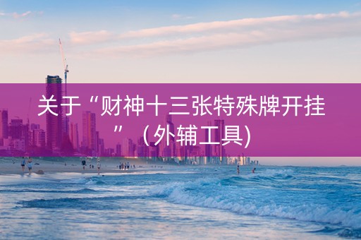 关于“财神十三张特殊牌开挂”（外辅工具)