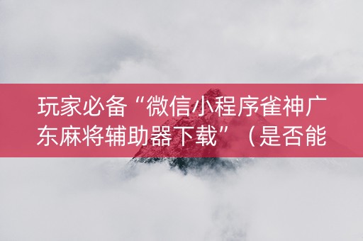 玩家必备“微信小程序雀神广东麻将辅助器下载”（是否能开挂)