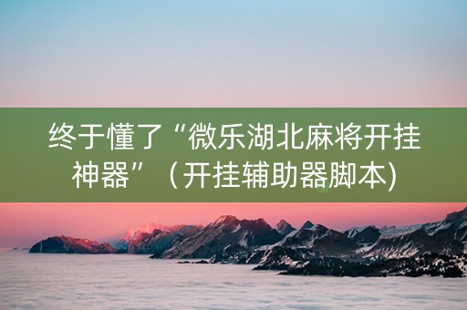 终于懂了“微乐湖北麻将开挂神器”（开挂辅助器脚本)