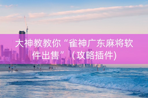 大神教教你“雀神广东麻将软件出售”（攻略插件)