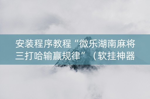 安装程序教程“微乐湖南麻将三打哈输赢规律”（软挂神器)
