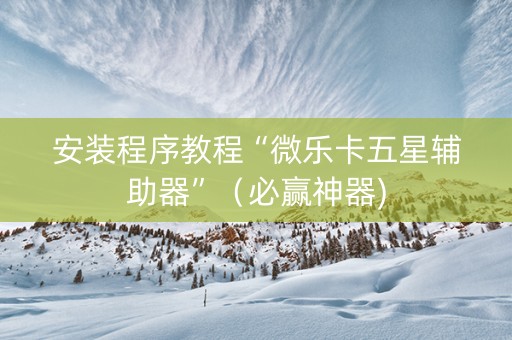 安装程序教程“微乐卡五星辅助器”（必赢神器)