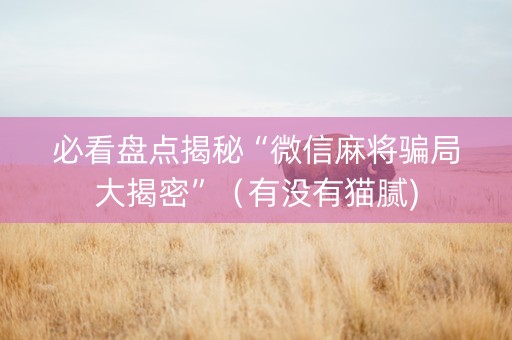 必看盘点揭秘“微信麻将骗局大揭密”（有没有猫腻)