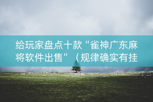 给玩家盘点十款“雀神广东麻将软件出售”（规律确实有挂)