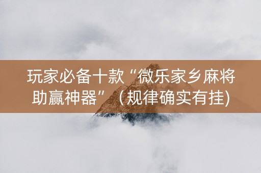 玩家必备十款“微乐家乡麻将助赢神器”（规律确实有挂)