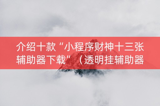 介绍十款“小程序财神十三张辅助器下载”（透明挂辅助器)
