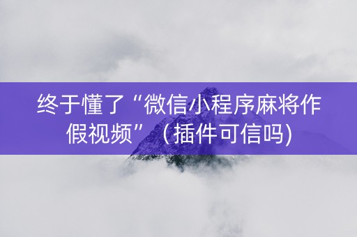 终于懂了“微信小程序麻将作假视频”（插件可信吗)