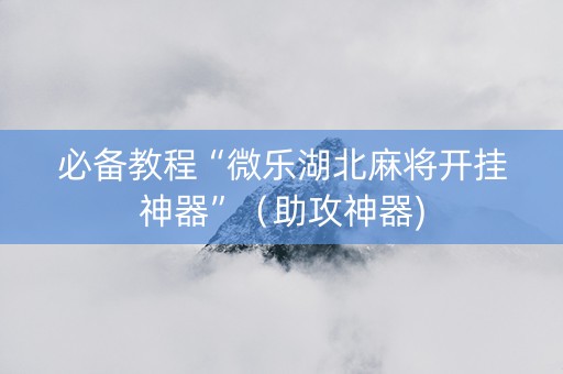 必备教程“微乐湖北麻将开挂神器”（助攻神器)
