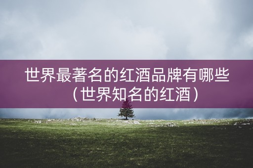 世界最著名的红酒品牌有哪些（世界知名的红酒）