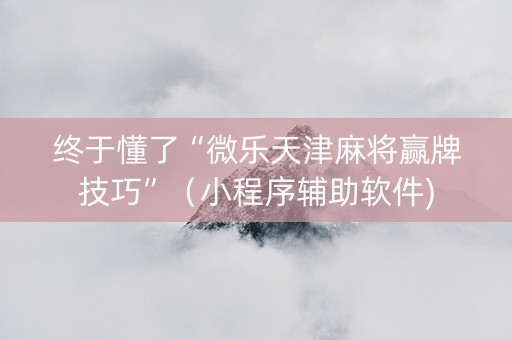 终于懂了“微乐天津麻将赢牌技巧”（小程序辅助软件)