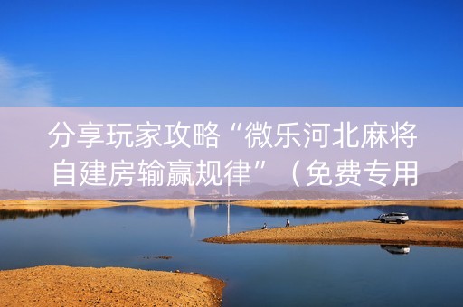 分享玩家攻略“微乐河北麻将自建房输赢规律”（免费专用神器)