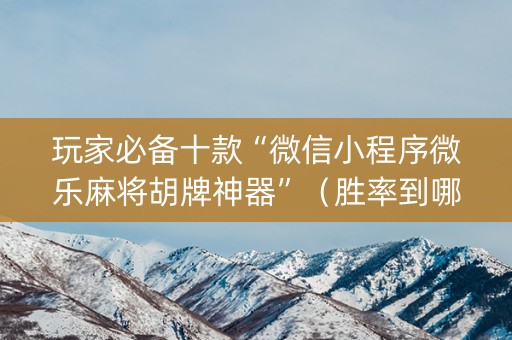 玩家必备十款“微信小程序微乐麻将胡牌神器”（胜率到哪调)