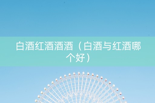 白酒红酒酒酒（白酒与红酒哪个好）