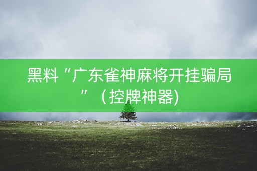 黑料“广东雀神麻将开挂骗局”（控牌神器)
