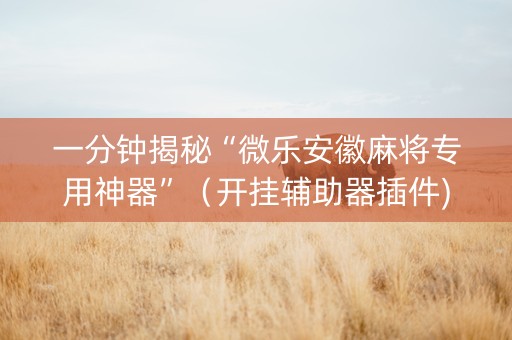 一分钟揭秘“微乐安徽麻将专用神器”（开挂辅助器插件)