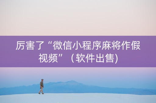 厉害了“微信小程序麻将作假视频”（软件出售)
