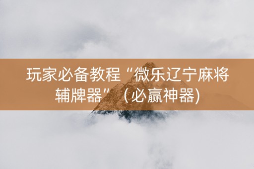 玩家必备教程“微乐辽宁麻将辅牌器”（必赢神器)